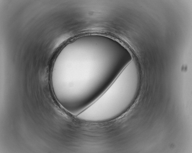 X0000091171450200708091013
