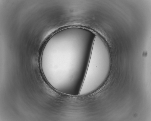 X0000091171452200708091013
