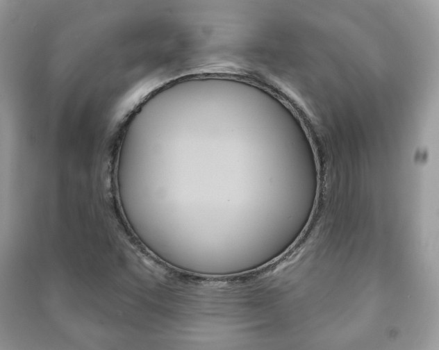 X0000091171455200708091013