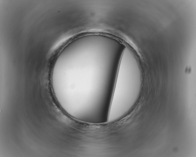 X0000091171456200708091013
