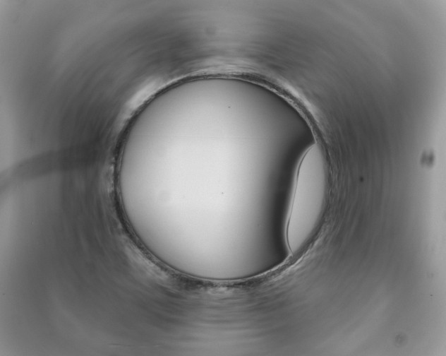 X0000091171459200708091013