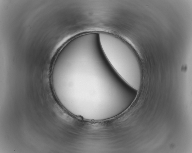 X0000091171460200708091013