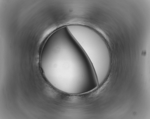 X0000091171461200708091013