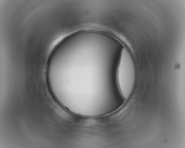 X0000091171463200708091013