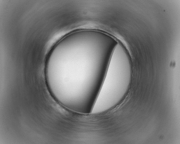 X0000091171464200708091013