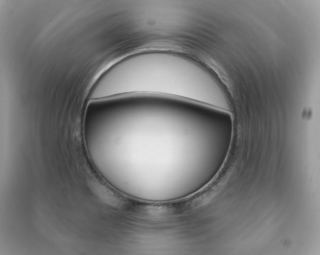 X0000091171465200708091013
