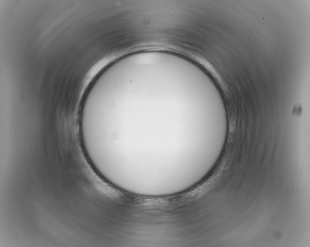 X0000091171466200708091013