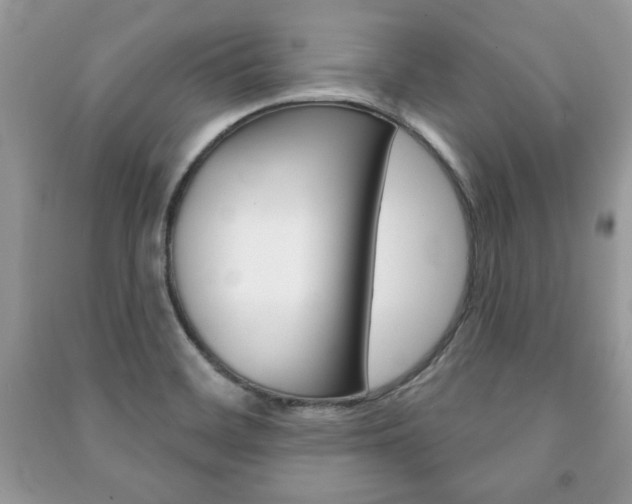 X0000091171468200708091013