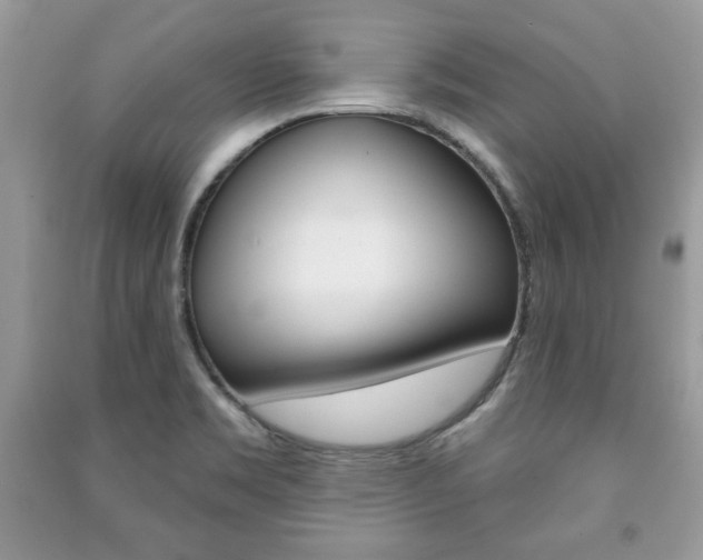X0000091171469200708091013