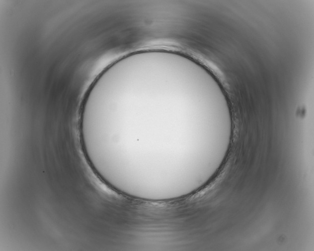 X0000091171470200708091013