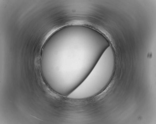 X0000091171473200708091013
