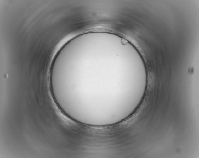 X0000091171474200708091013
