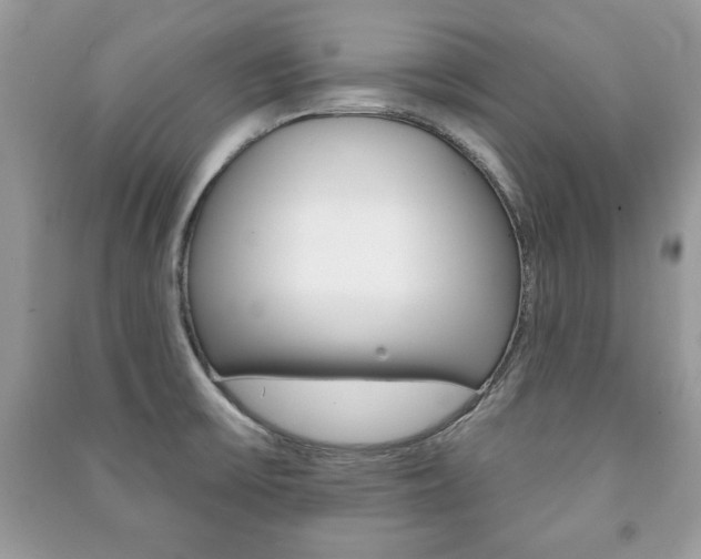 X0000091171475200708091013
