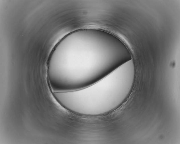 X0000091171476200708091013