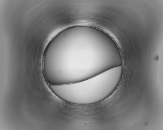 X0000091171477200708091013