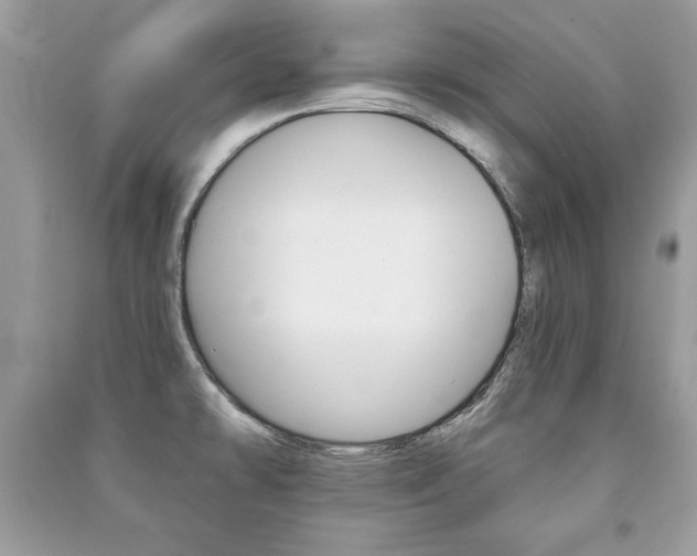 X0000091171478200708091013