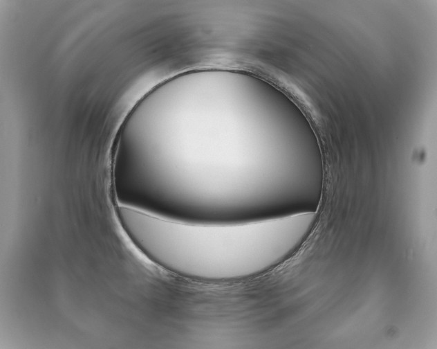 X0000091171479200708091013