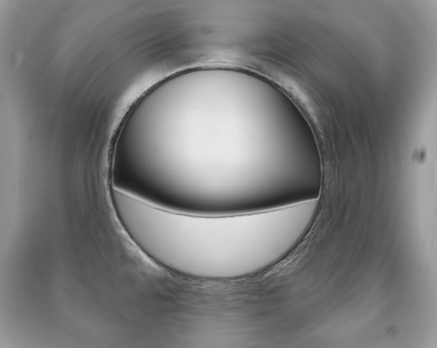 X0000091171480200708091013