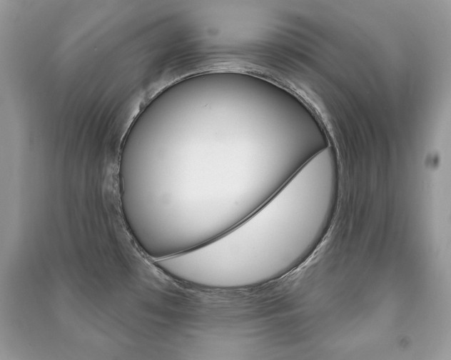 X0000091171481200708091013