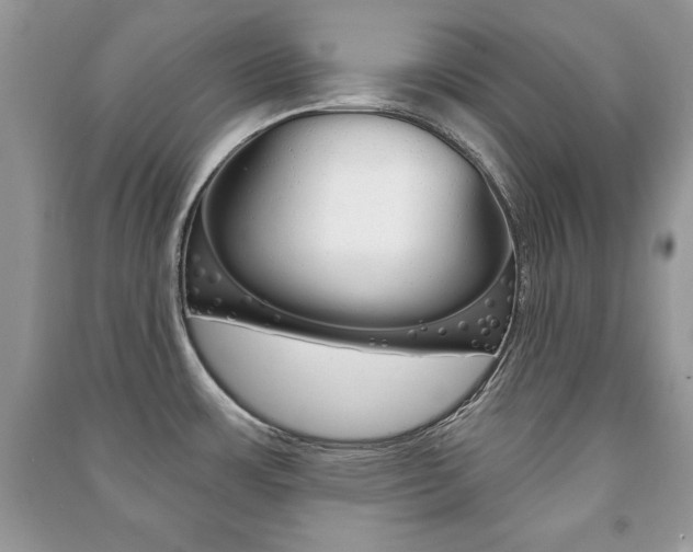 X0000091171483200708091013