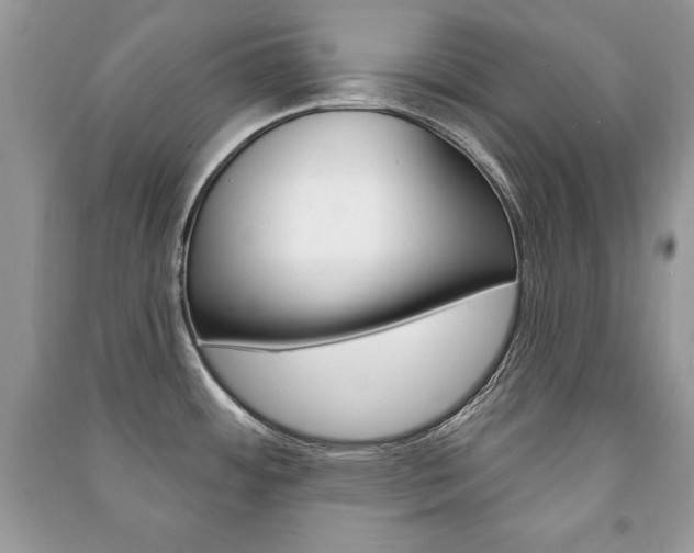 X0000091171484200708091013