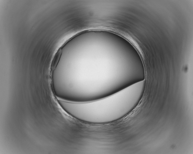 X0000091171485200708091013