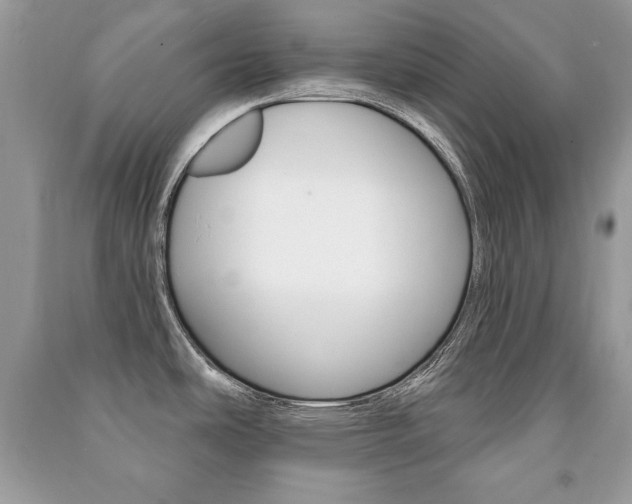 X0000091171486200708091013