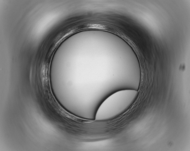 X0000091171487200708091013
