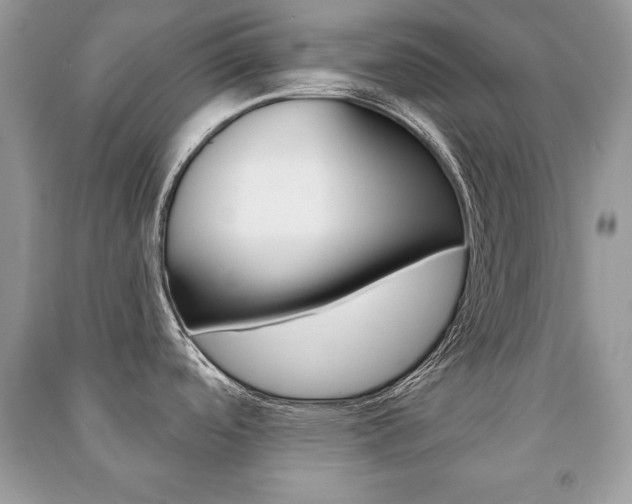 X0000091171488200708091013