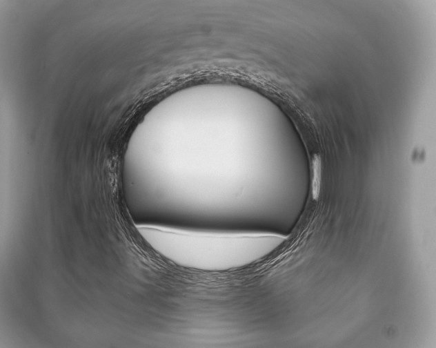 X0000091171491200708091012