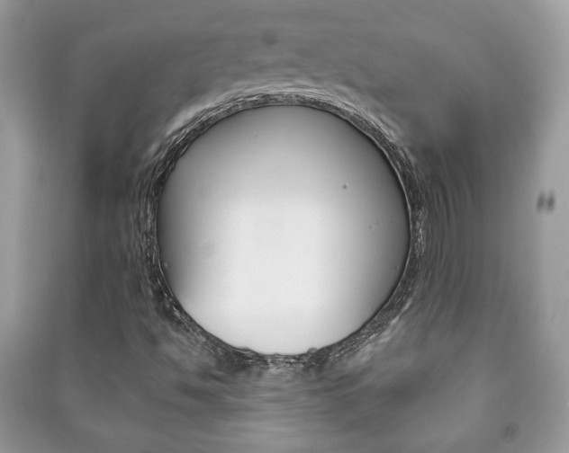 X0000091171494200708091012