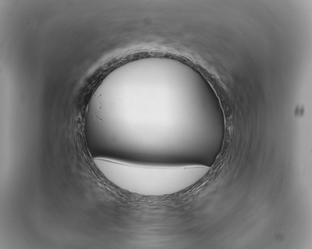 X0000091171495200708091012
