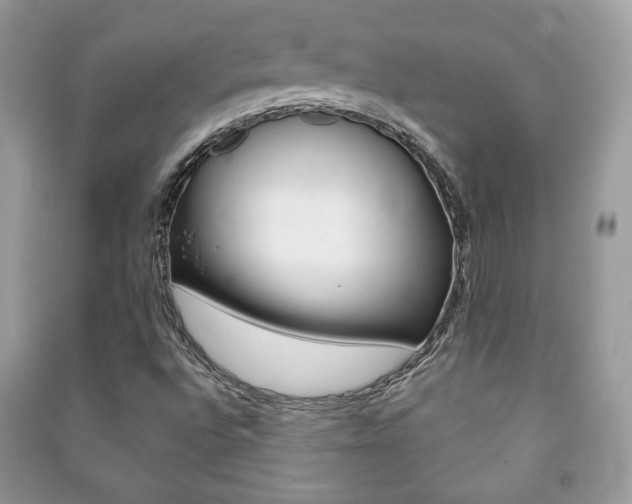 X0000091171496200708091012