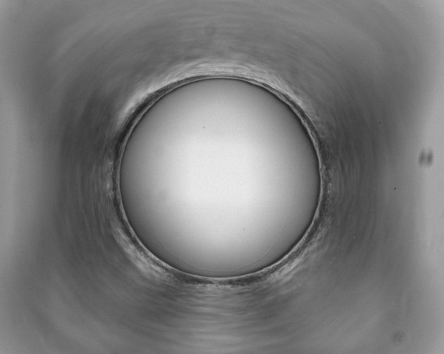 X0000091171499200708091012