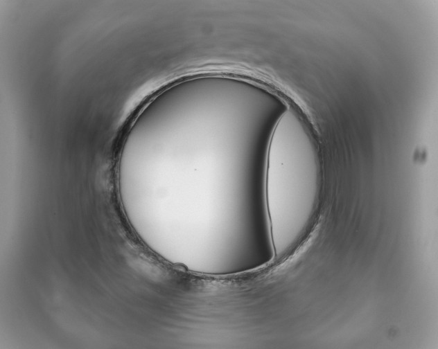 X0000091171501200708091012