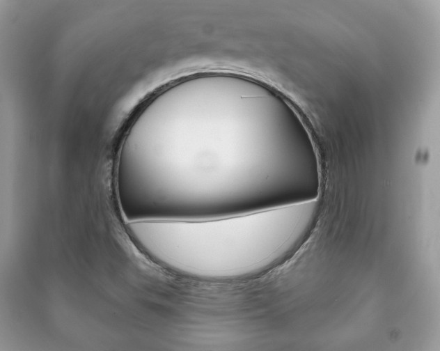 X0000091171503200708091012