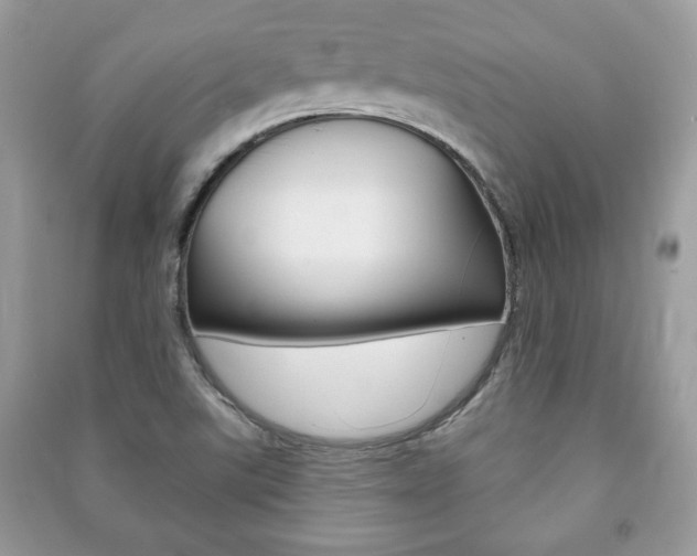 X0000091171507200708091012