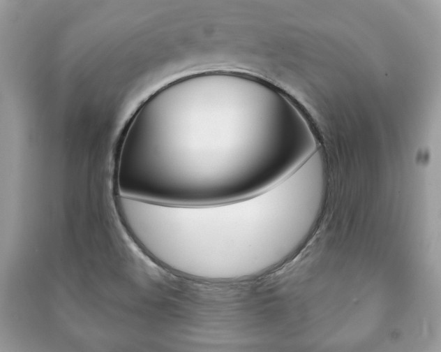 X0000091171508200708091012