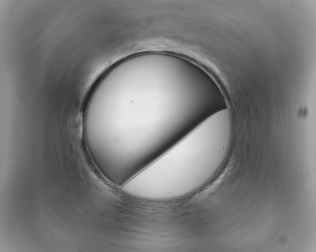 X0000091171509200708091012