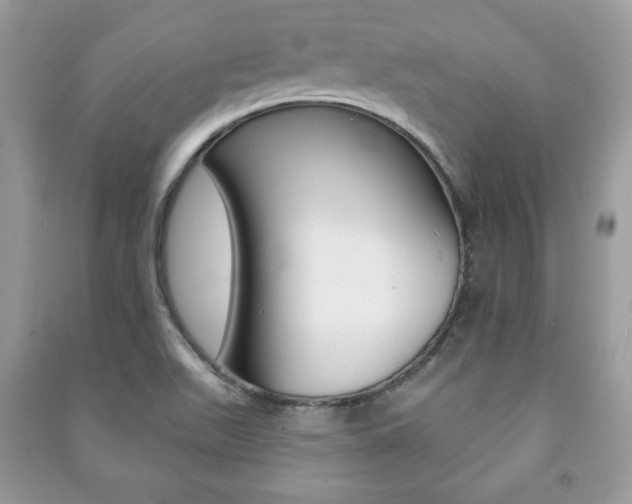 X0000091171511200708091012