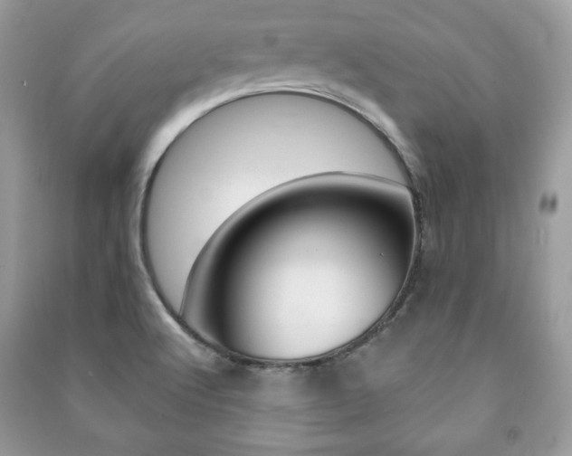 X0000091171512200708091012