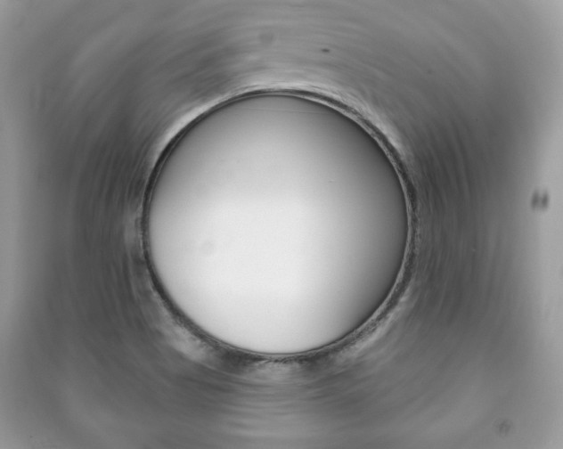 X0000091171513200708091012