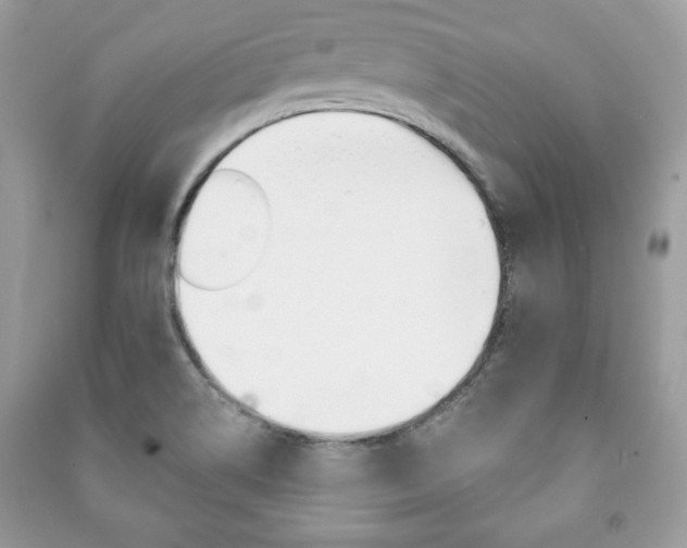 X0000091171514200708091012