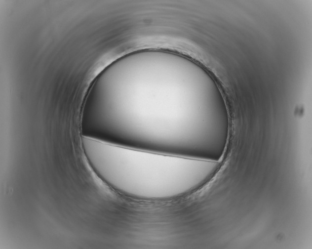 X0000091171521200708091013