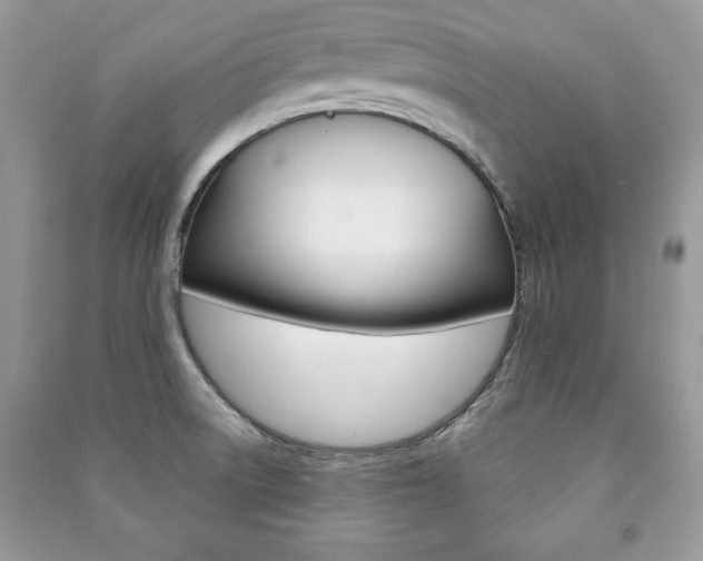 X0000091171522200708091013