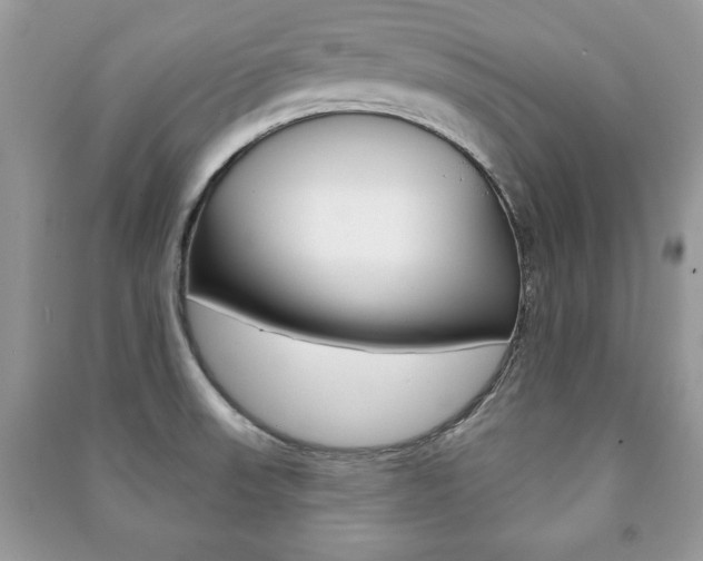 X0000091171523200708091013