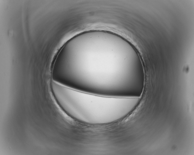 X0000091171525200708091013