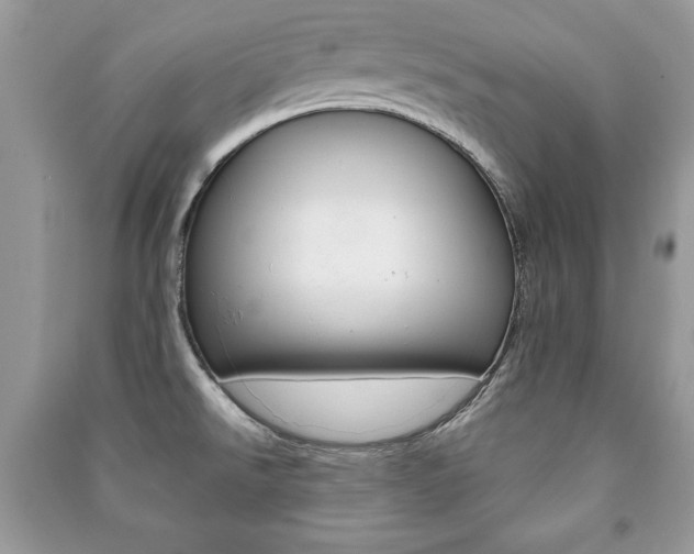 X0000091171526200708091013