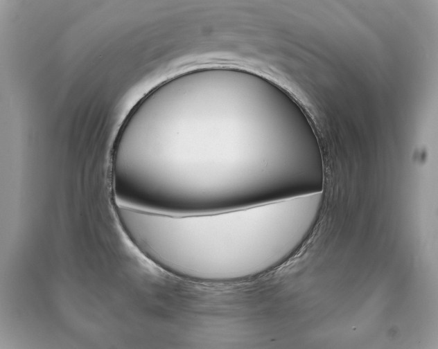 X0000091171527200708091013