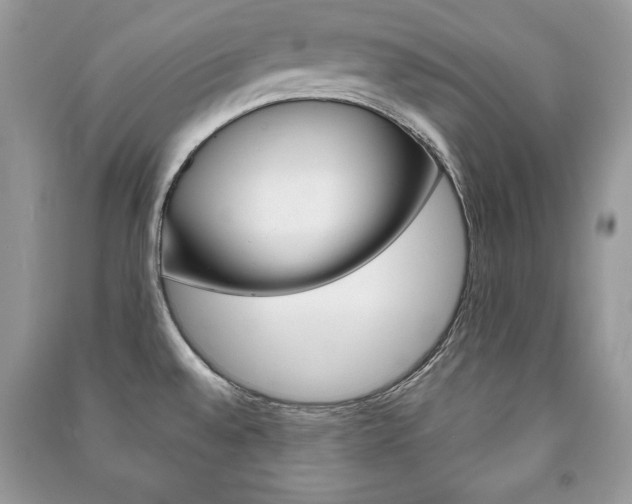 X0000091171528200708091013